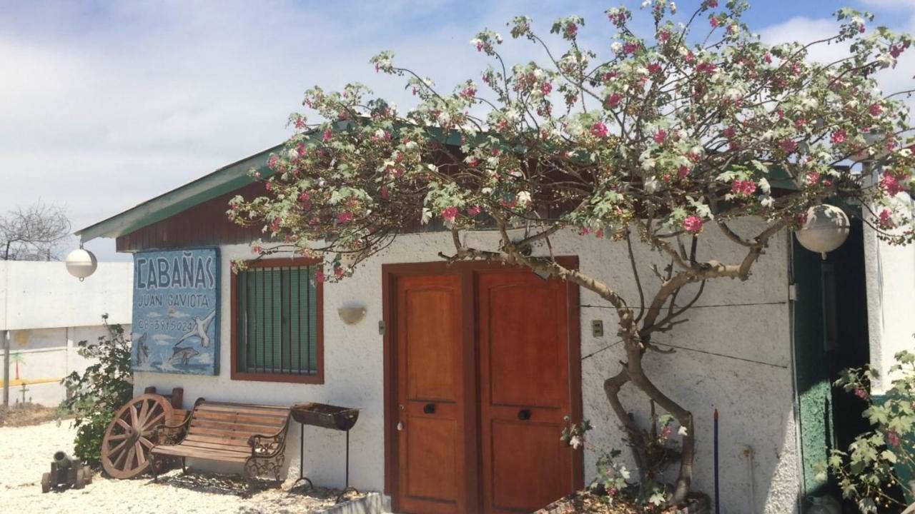 Cabanas Juan Gaviota Punta de Choros Exterior foto