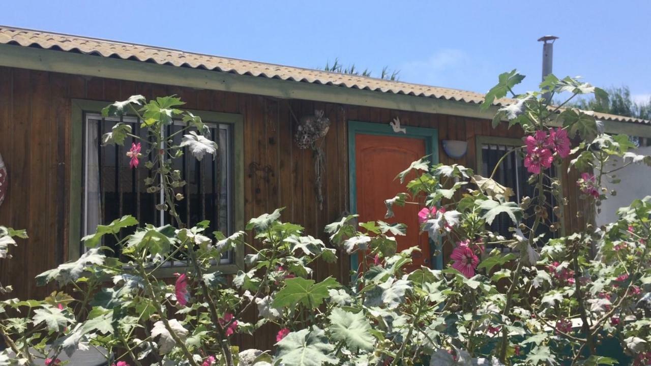 Cabanas Juan Gaviota Punta de Choros Exterior foto