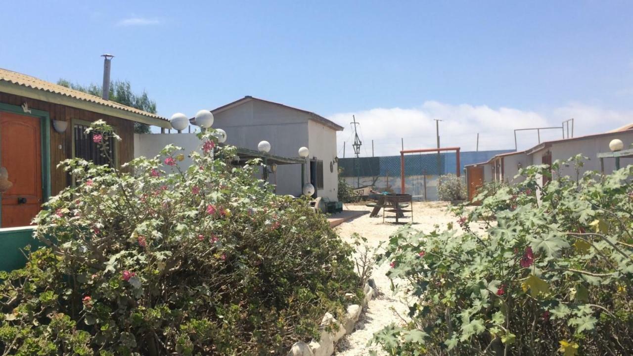 Cabanas Juan Gaviota Punta de Choros Exterior foto