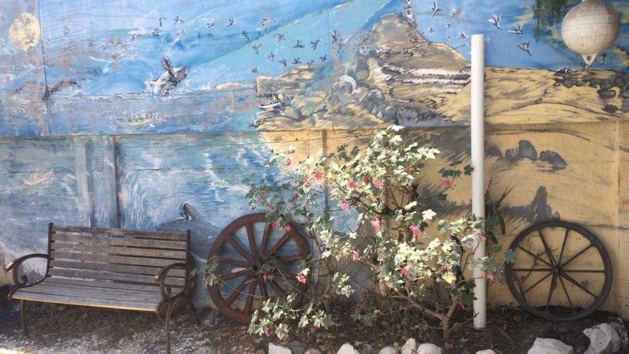 Cabanas Juan Gaviota Punta de Choros Exterior foto