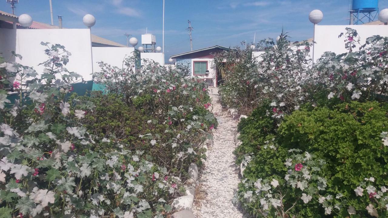 Cabanas Juan Gaviota Punta de Choros Exterior foto